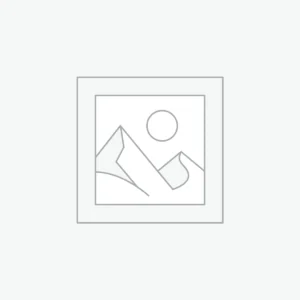 Casual/occasional bags
